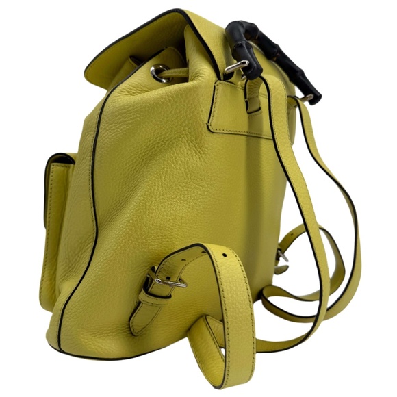 Gucci Cellarius Calfskin Medium Bamboo Backpack – Mimosa Flower - Picture 7 of 9